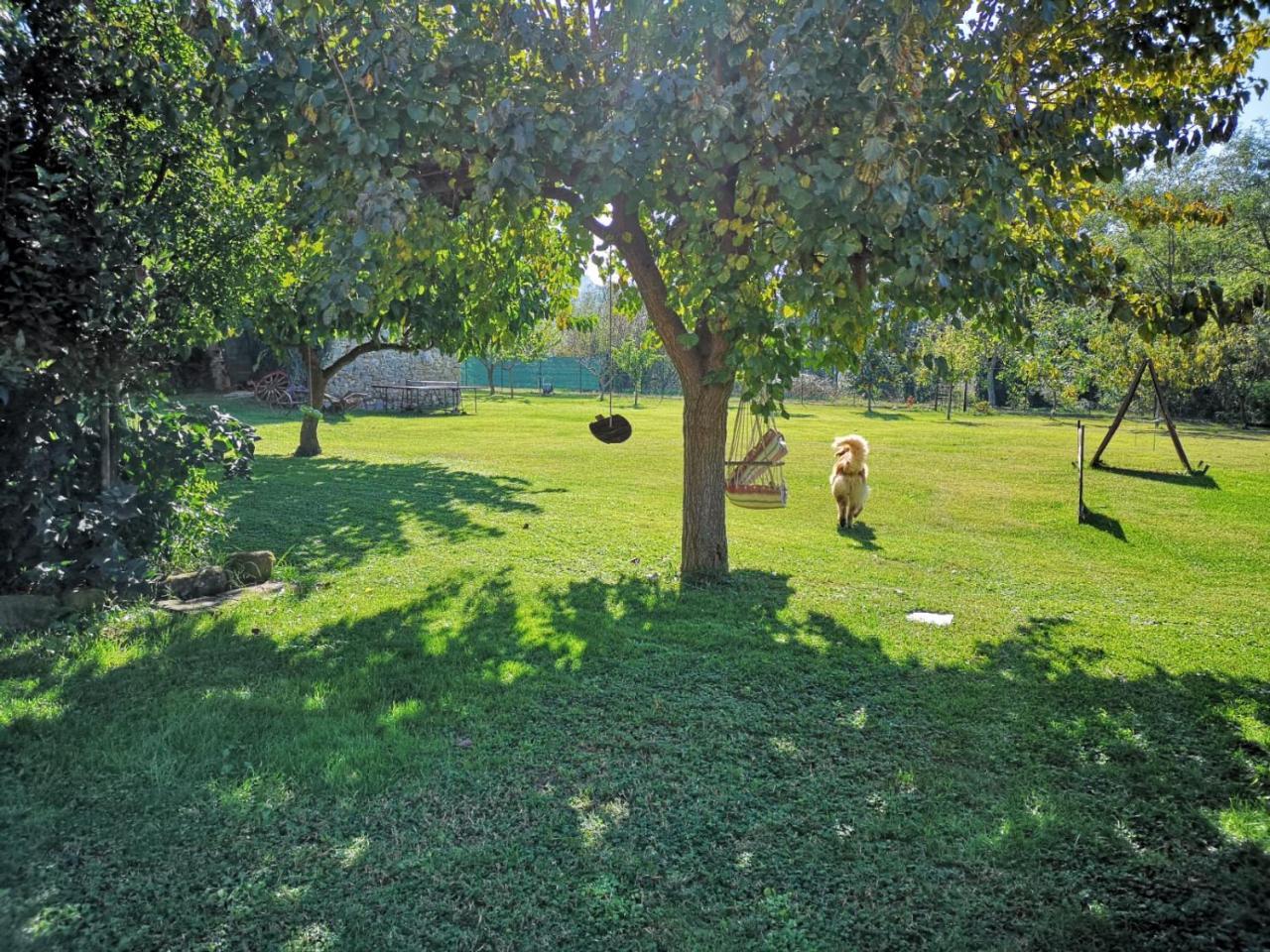 River Melody Bettona Εξωτερικό φωτογραφία